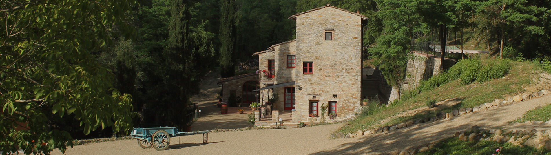 A charming Mill immersed in nature